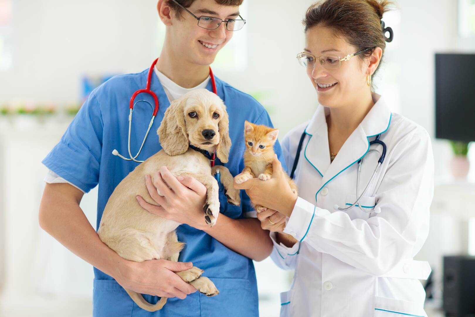 Ashland Terrace Animal Hospital