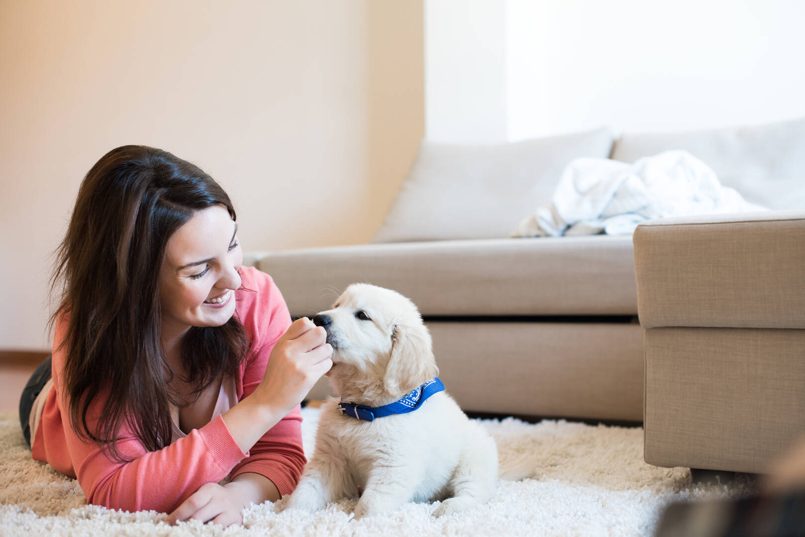 1st Pet Veterinary Centers