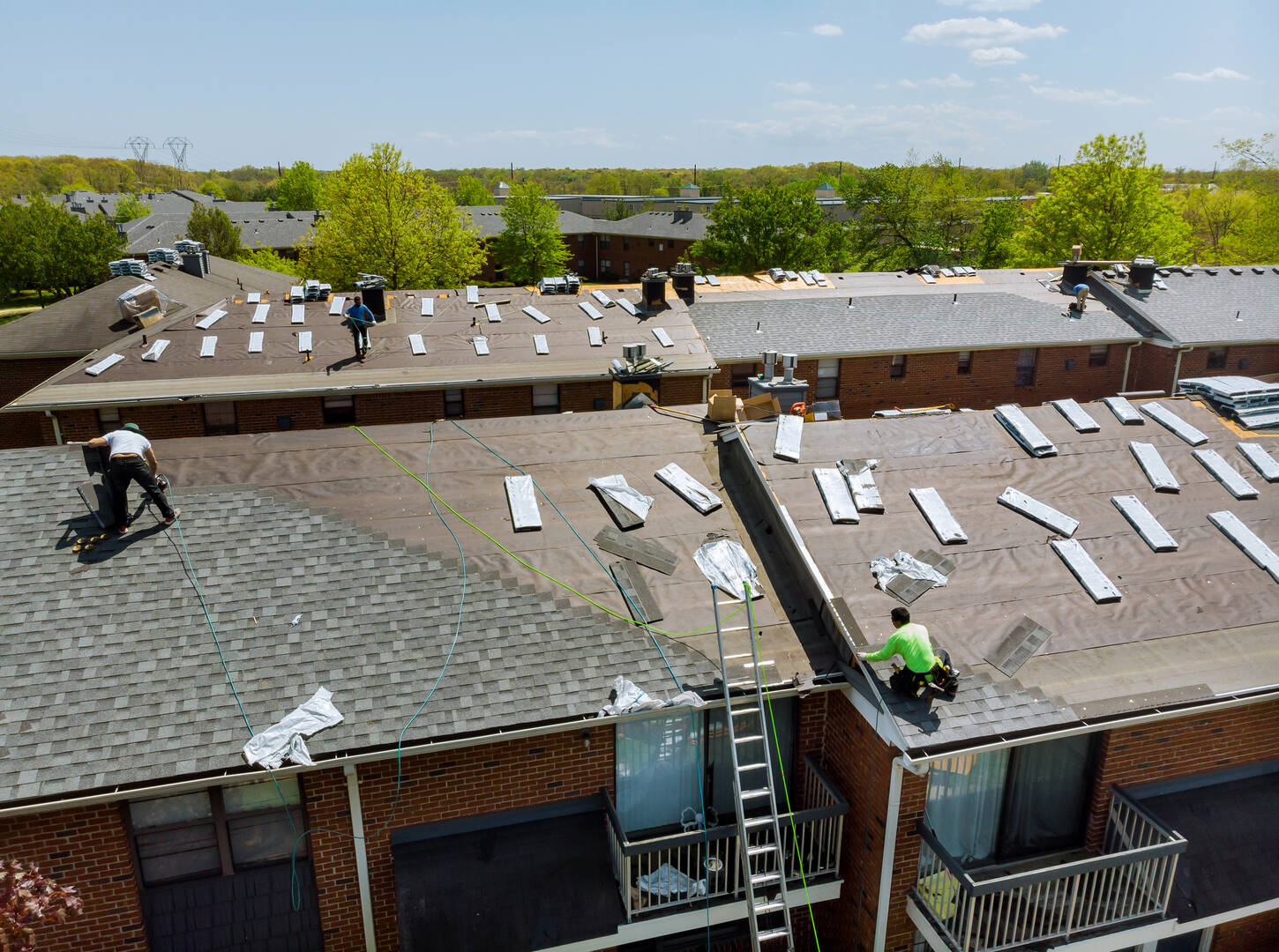Alpha Roofing Services