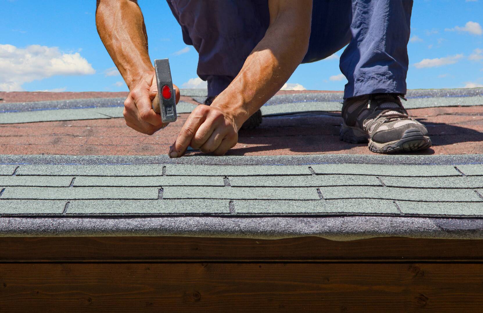Alpha Roofing Services